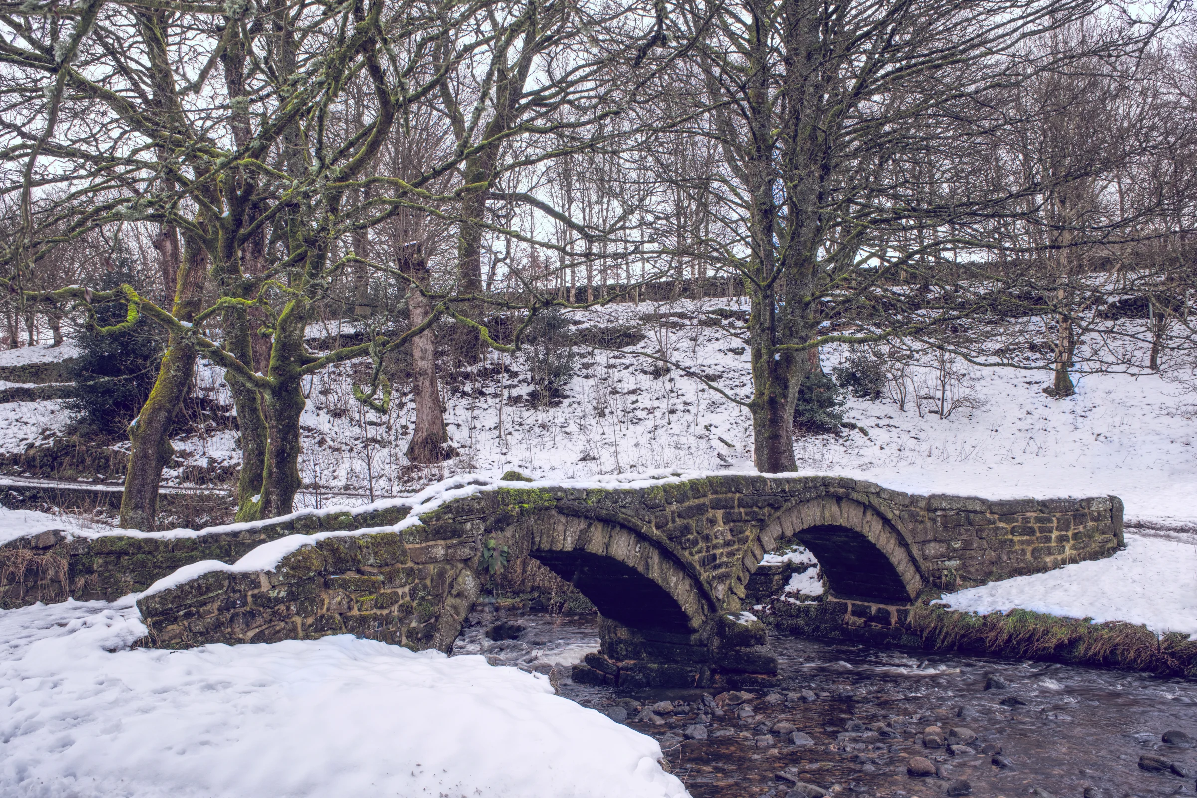 There's a strong chance this image contains the following subjects: tree,  landscape,  fall,  nature,  wood,  lancashire,  ice,  bridge,  park,  winter. The photographer has provided the following description: The beautiful packhorse bridge in Wycoller, Lancashire as seen in the middle of Winter 2024/5. Photographer_name: Chris Michael. Title: Wycoller Bridge. The photographer has provided the following description: The beautiful packhorse bridge in Wycoller, Lancashire as seen in the middle of Winter 2024/5. Make: fujifilm. Model: X-T5. Technical: XF16-80mm. Published: 2025-09-05 19:51:49