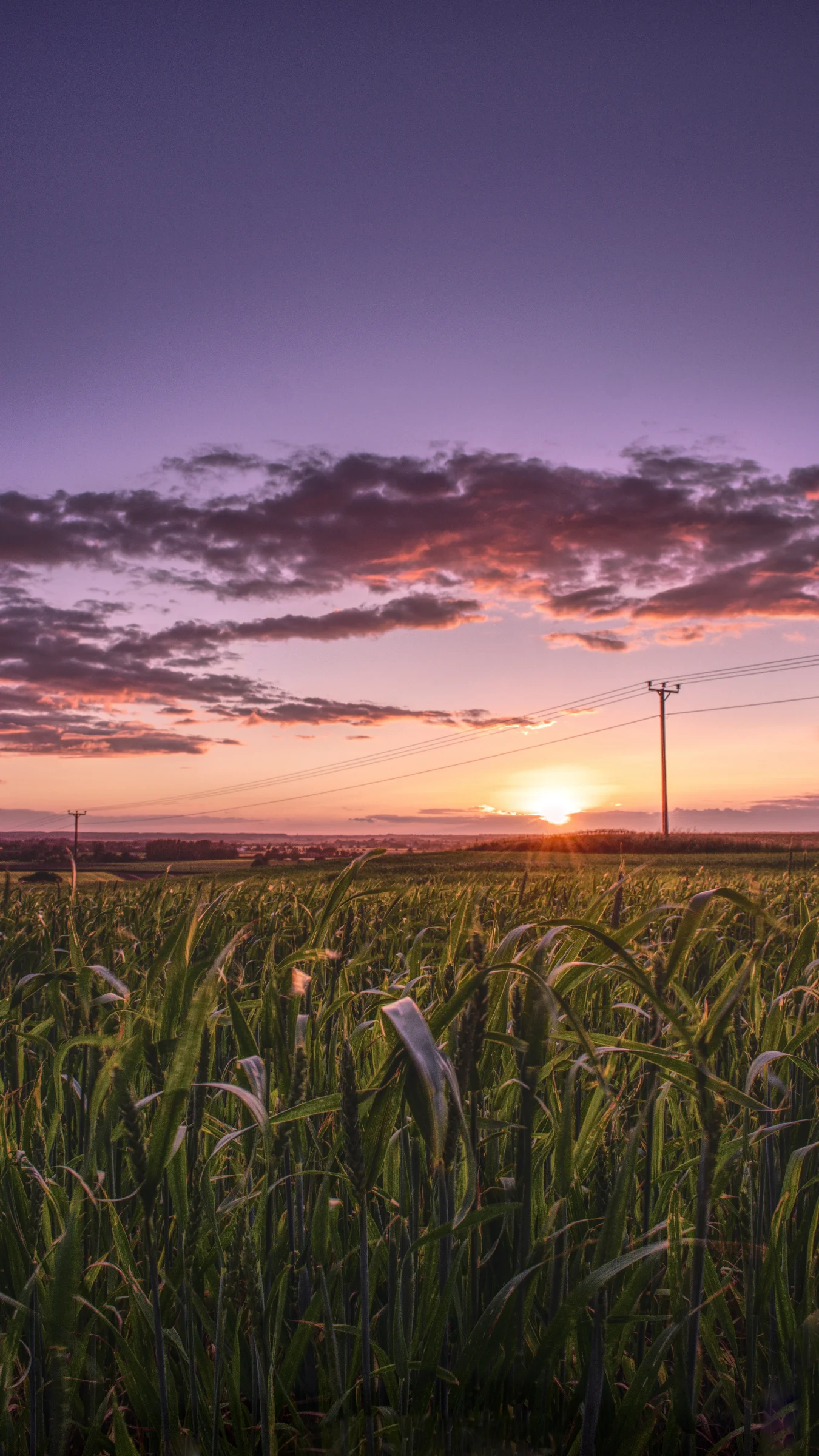 There's a strong chance this image contains the following subjects: landscape,  sunset,  dawn,  field,  sun,  ormskirk. The photographer has provided the following description: This is a 