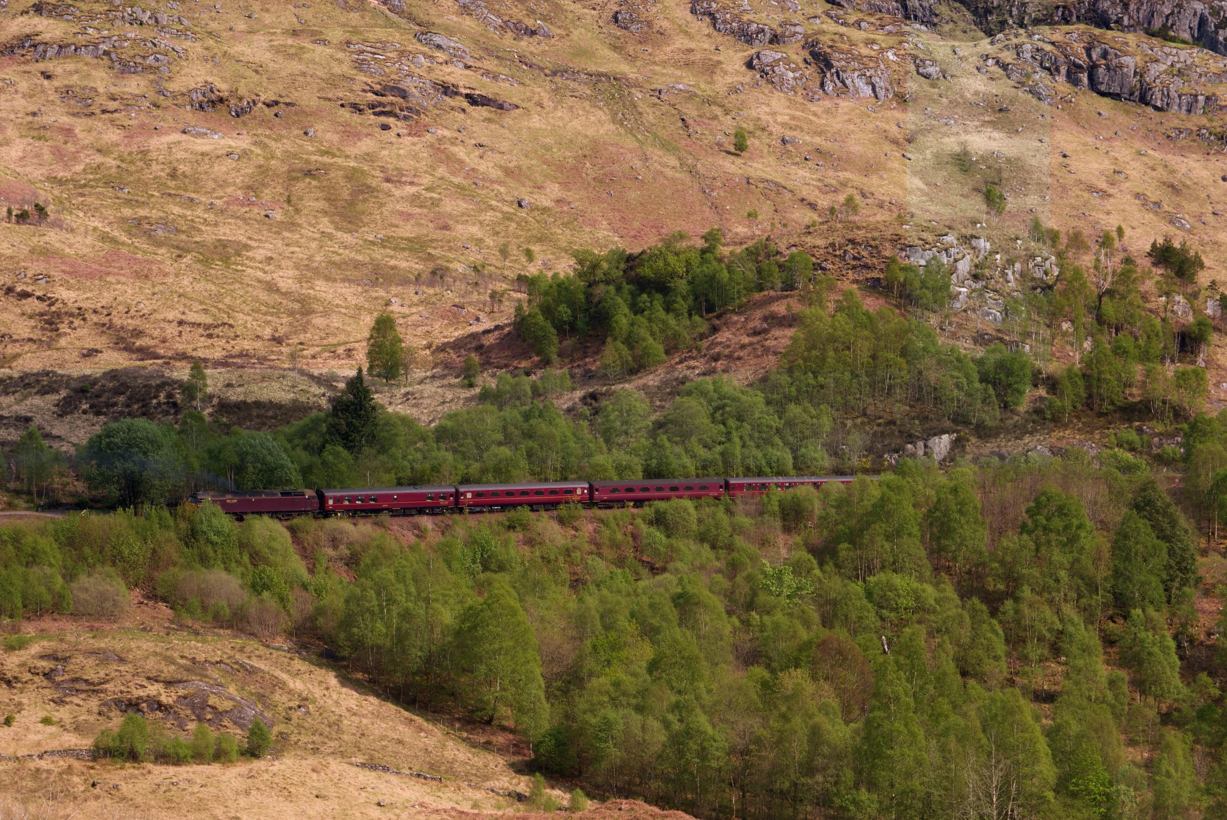 There's a strong chance this image contains the following subjects: landscape,  travel,  nature,  river,  scotland,  scottishhighlands,  train. The photographer has provided the following description: An unusual view of the Jacobite steam train after it has passed over Glenfinnan Viaduct, the famous bridge from the Harry Potter movie. Photographer_name: Chris Michael. Title: Glenfinnan Viaduct. The photographer has provided the following description: An unusual view of the Jacobite steam train after it has passed over Glenfinnan Viaduct, the famous bridge from the Harry Potter movie. Make: fujifilm. Model: X-T5. Technical: 16-80mm. Published: 2025-09-08 21:14:42