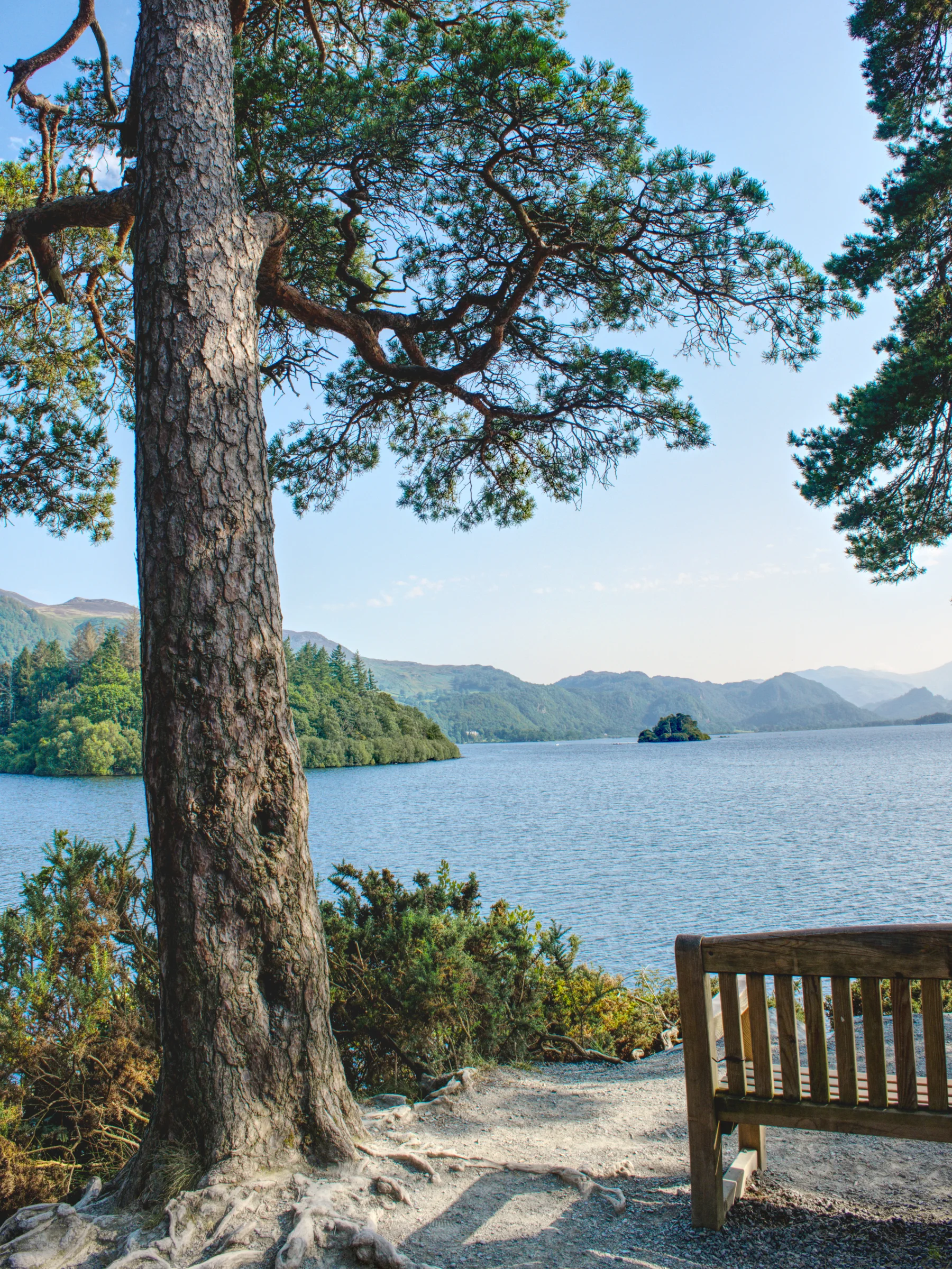 There's a strong chance this image contains the following subjects: tree,  water,  landscape,  lake,  nature,  wood,  park,  cumbria,  lakedistrict. The photographer has provided the following description: Looking out along Derwentwater in the Lake District. Photographer_name: Chris Michael. Title: Friar's Cragg. The photographer has provided the following description: Looking out along Derwentwater in the Lake District. Make: fujifilm. Model: X-T5. Technical: 16-80MM. Published: 2025-09-07 23:01:30