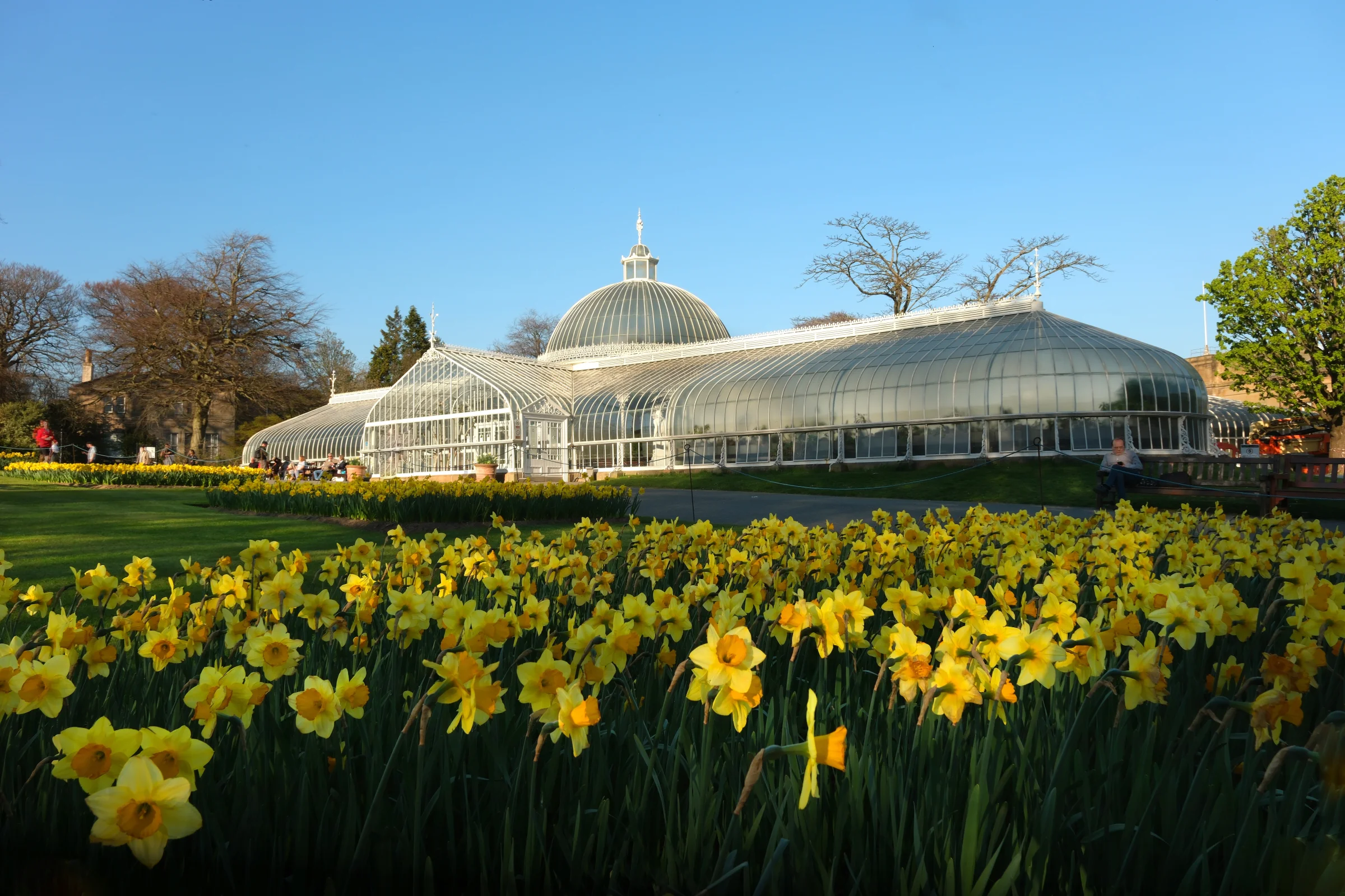 There's a strong chance this image contains the following subjects: flower,  garden,  nature,  scotland,  glasgow. The photographer has provided the following description: Taken Spring 2025 at Glasgow's Botanic Gardens. Photographer_name: Chris Michael. Title: Botanic Gardens. The photographer has provided the following description: Taken Spring 2025 at Glasgow's Botanic Gardens. Make: fujifilm. Model: X-t5. Technical: 16-80mm. Published: 2025-09-08 17:16:54