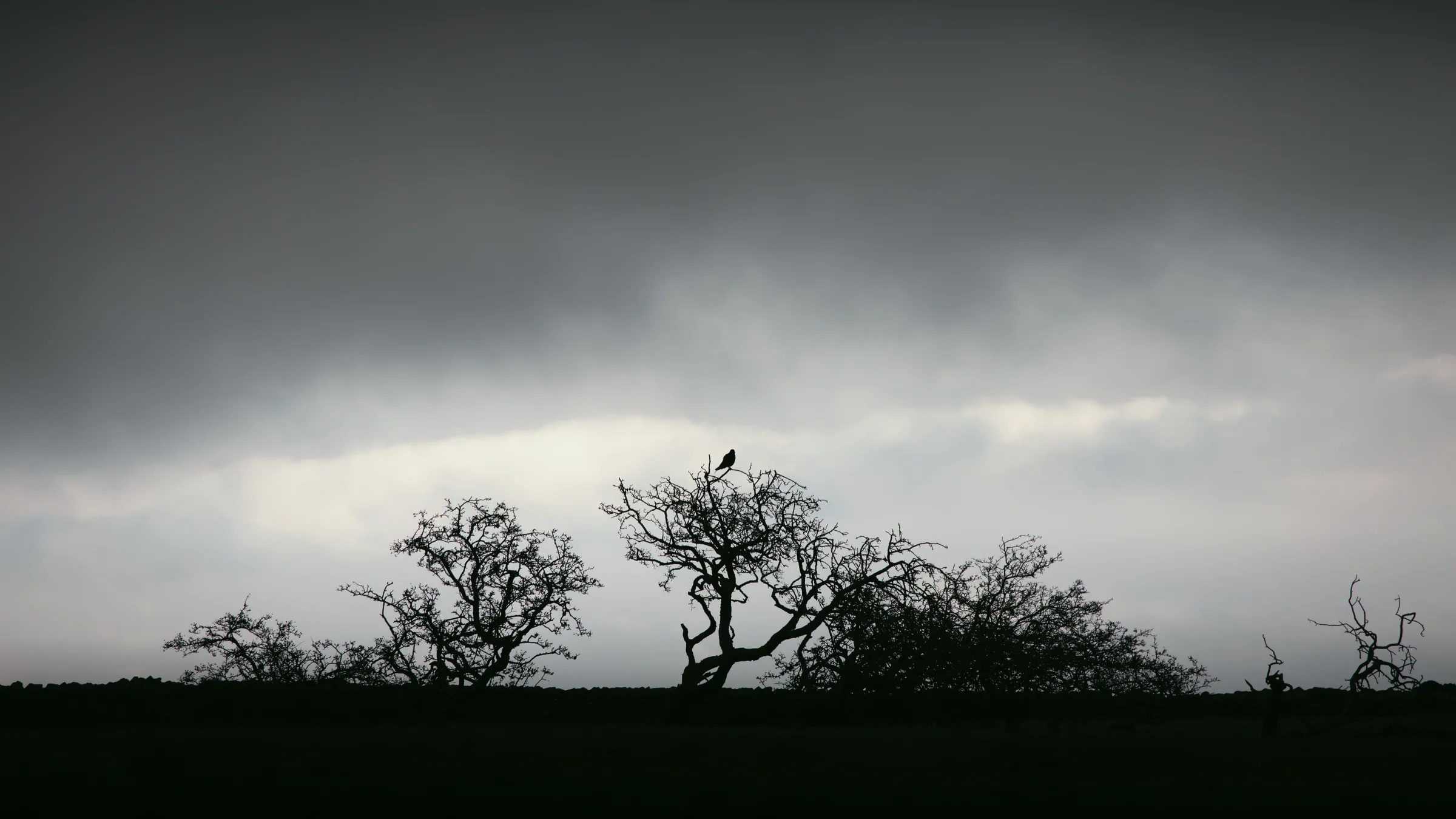 View FOTO's collection of dark photographs.