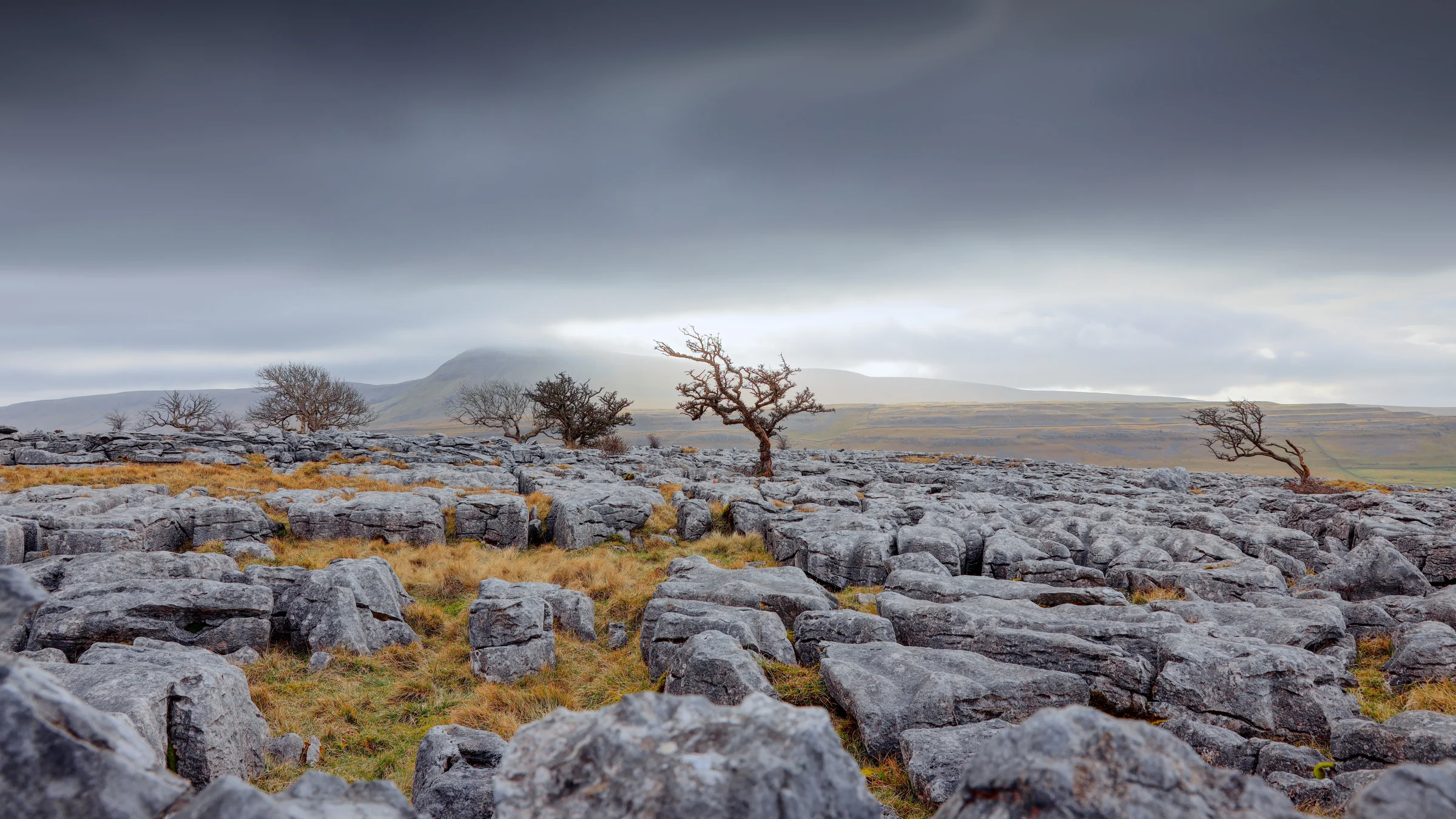There's a strong chance this image contains the following subjects: tree,  sky,  landscape,  travel,  nature,  lonetree,  yorkshire,  yorkshiredales. The photographer has provided the following description: A lone tree, in the Yorkshire Dales. Photographer_name: Chris Michael. Title: Twisleton Scar End. The photographer has provided the following description: A lone tree, in the Yorkshire Dales. Make: canon. Model: EOS R. Technical: 16mm. Published: 2025-09-07 23:20:40
