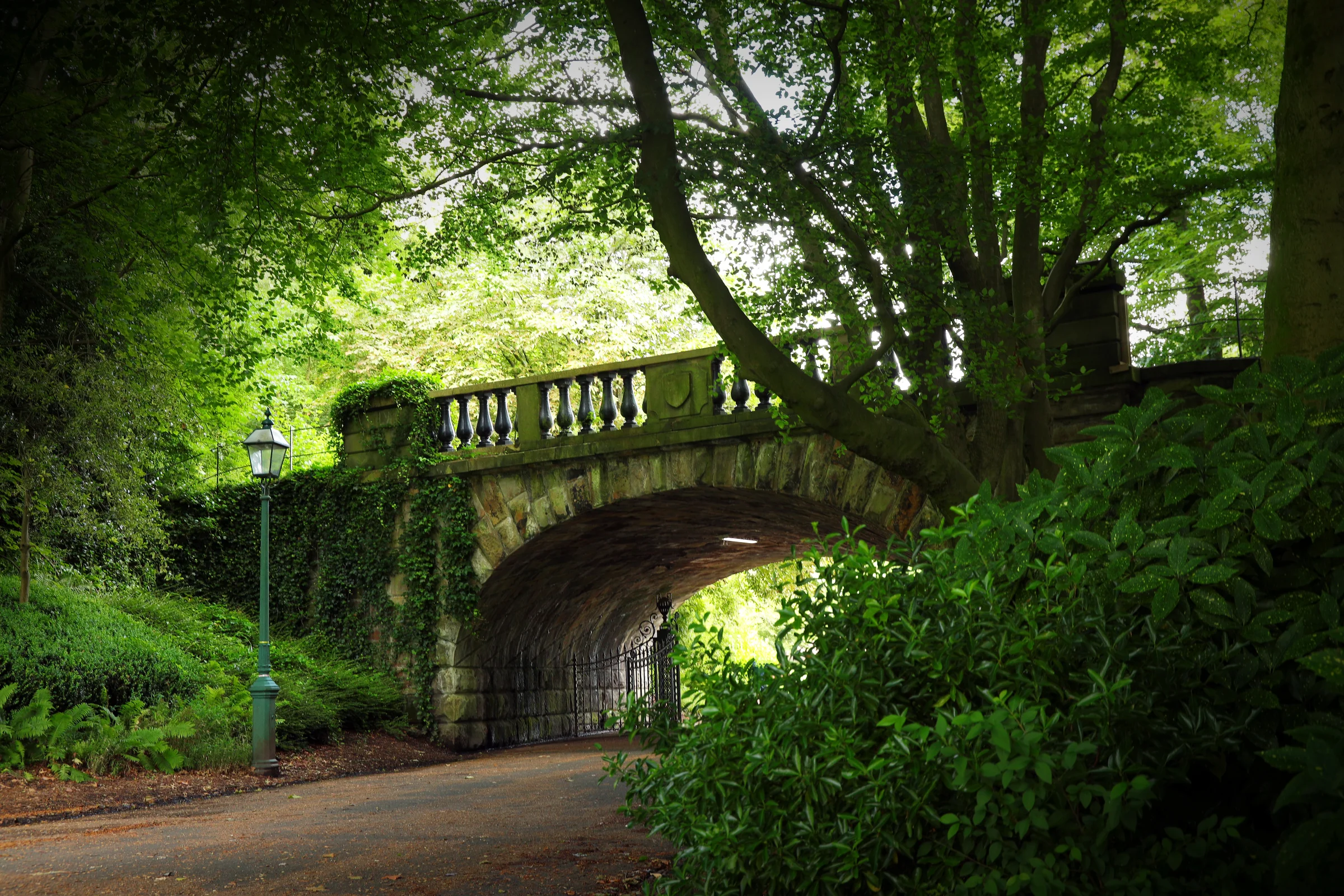 There's a strong chance this image contains the following subjects: tree,  landscape,  nature,  wood,  leaf,  road,  bridge,  park. The photographer has provided the following description: Taken in Avenham and Miller Park, Preston. Photographer_name: Chris Michael. Title: The Bridge. The photographer has provided the following description: Taken in Avenham and Miller Park, Preston. Make: fujifilm. Model: X-T5. Technical: XF16-80mm lens. Published: 2025-09-06 18:06:05