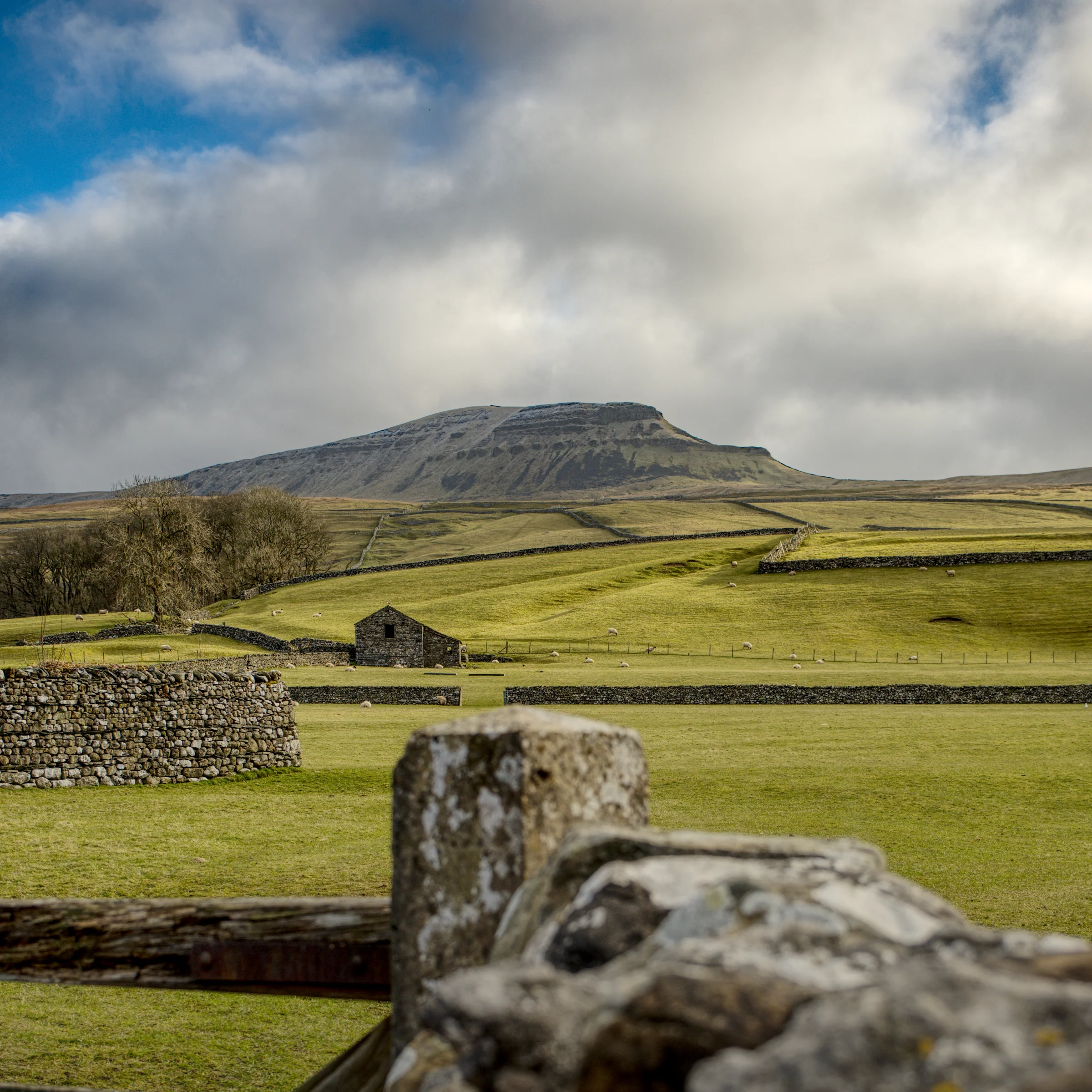 There's a strong chance this image contains the following subjects: sky,  landscape,  travel,  nature,  grass,  rural,  countryside,  yorkshire. The photographer has provided the following description: Beautiful Pen y Ghent from Horton in Ribblesdale, Yorkshire. Photographer_name: Chris Michael. Title: Pen y Ghent. The photographer has provided the following description: Beautiful Pen y Ghent from Horton in Ribblesdale, Yorkshire. Make: fujifilm. Model: X-T5. Technical: 16-80mm. Published: 2025-09-07 22:48:20