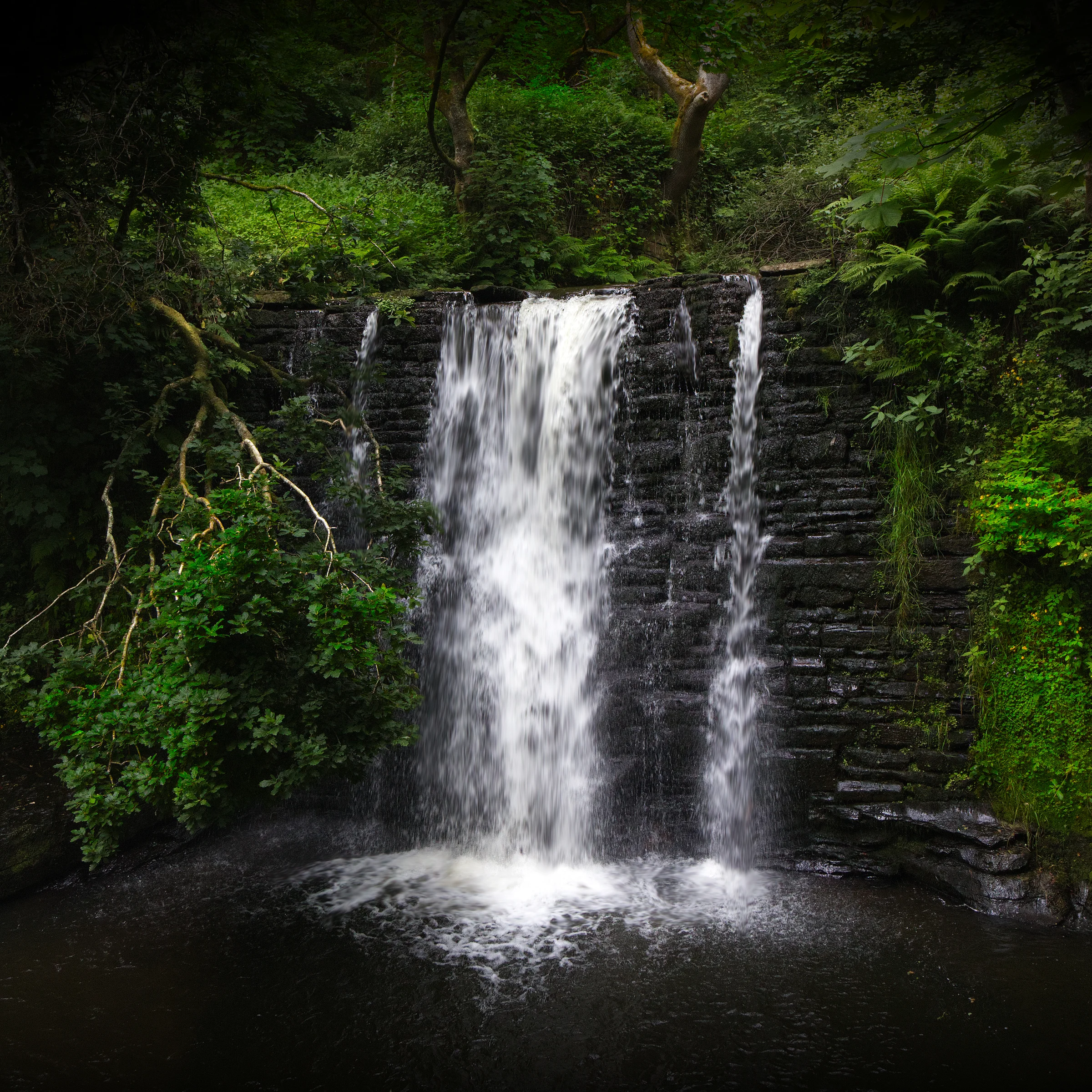 There's a strong chance this image contains the following subjects: water,  landscape,  rock,  nature,  wood,  leaf,  river,  waterfall,  cascade,  greatermanchester. The photographer has provided the following description: Deep in the woods in Naden Valley, is this stunning waterfall. It's hard to find, but an absolute beauty! Photographer_name: Chris Michael. Title: Ashworth Waterfall. The photographer has provided the following description: Deep in the woods in Naden Valley, is this stunning waterfall. It's hard to find, but an absolute beauty! Make: canon. Model: EOS R. Technical: 16mm. Published: 2025-09-07 22:10:49