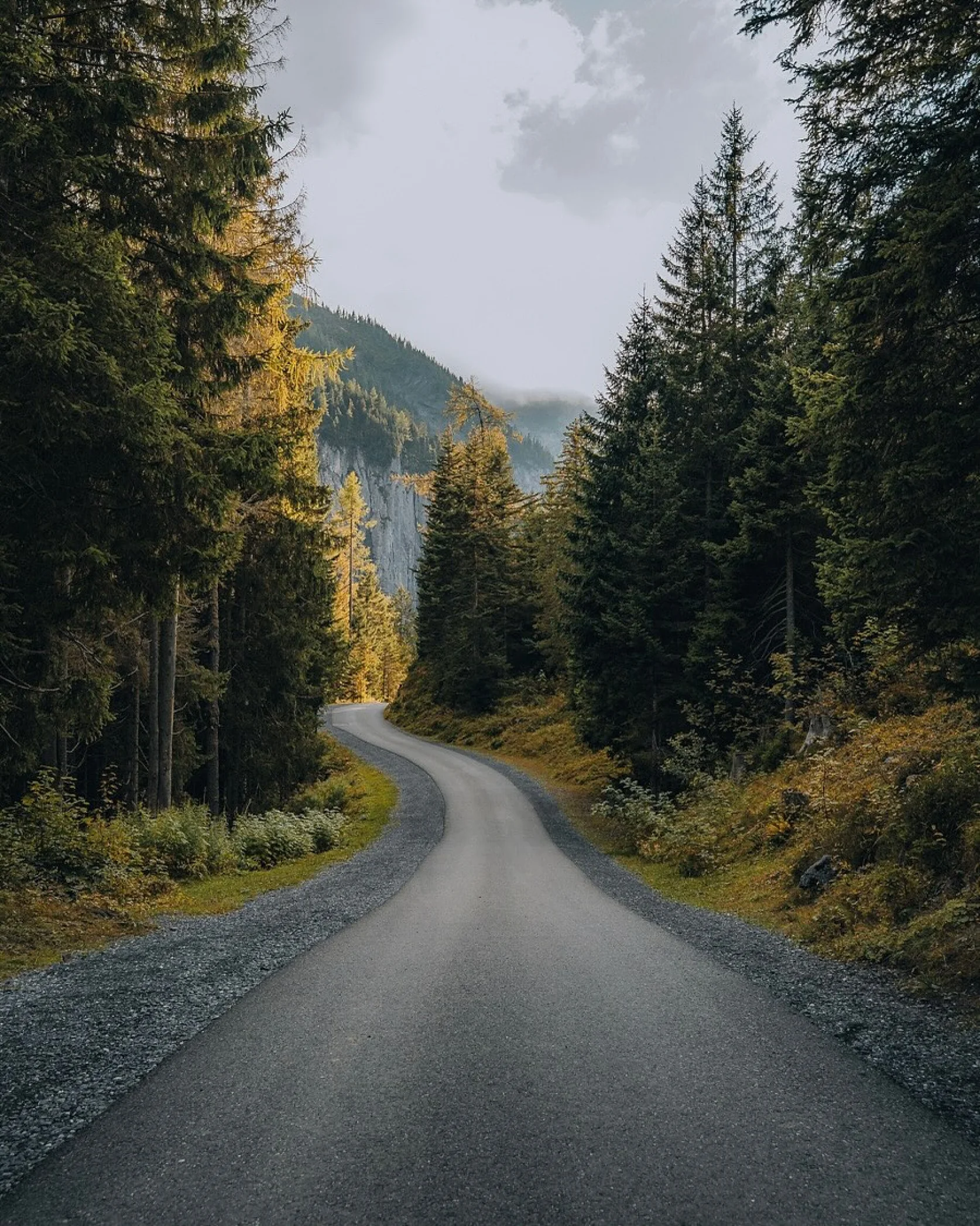 There's a strong chance this image contains the following subjects: landscape,  fall,  road. Source: https://www.instagram.com/visionbyleila/ Photographer_name: Leïla. Title: On the road. Make: sony. Model: a7c ii. Published: 2025-10-12 12:01:48