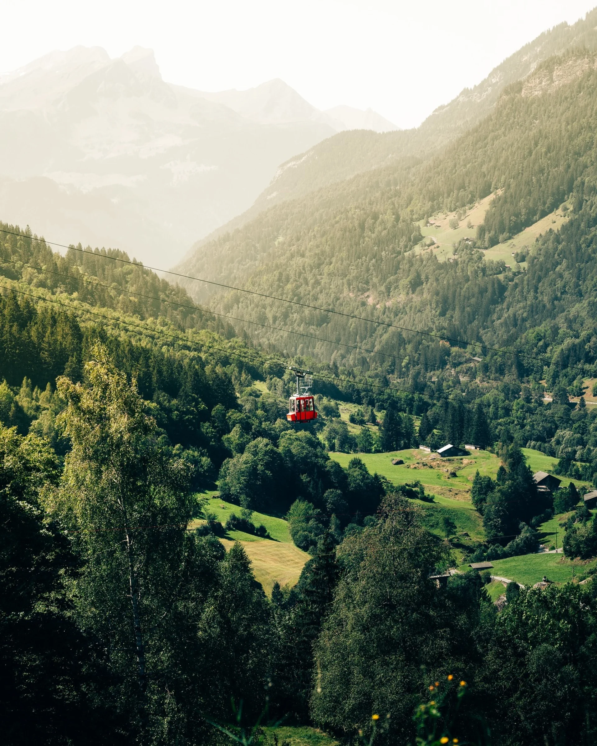 There's a strong chance this image contains the following subjects: landscape,  wood,  valley,  mountain. The photographer has provided the following description: I love the view of the mount Pilatus all the way in the distance. I had a view of this mountain for a short period of my life and I miss seeing this mountain every day Source: https://www.instagram.com/picsbydash/ Photographer_name: Dasha Butler. Title: A speck of red in a sea of green. The photographer has provided the following description: I love the view of the mount Pilatus all the way in the distance. I had a view of this mountain for a short period of my life and I miss seeing this mountain every day Make: nikon. Model: z7ii. Published: 2025-10-12 10:12:48