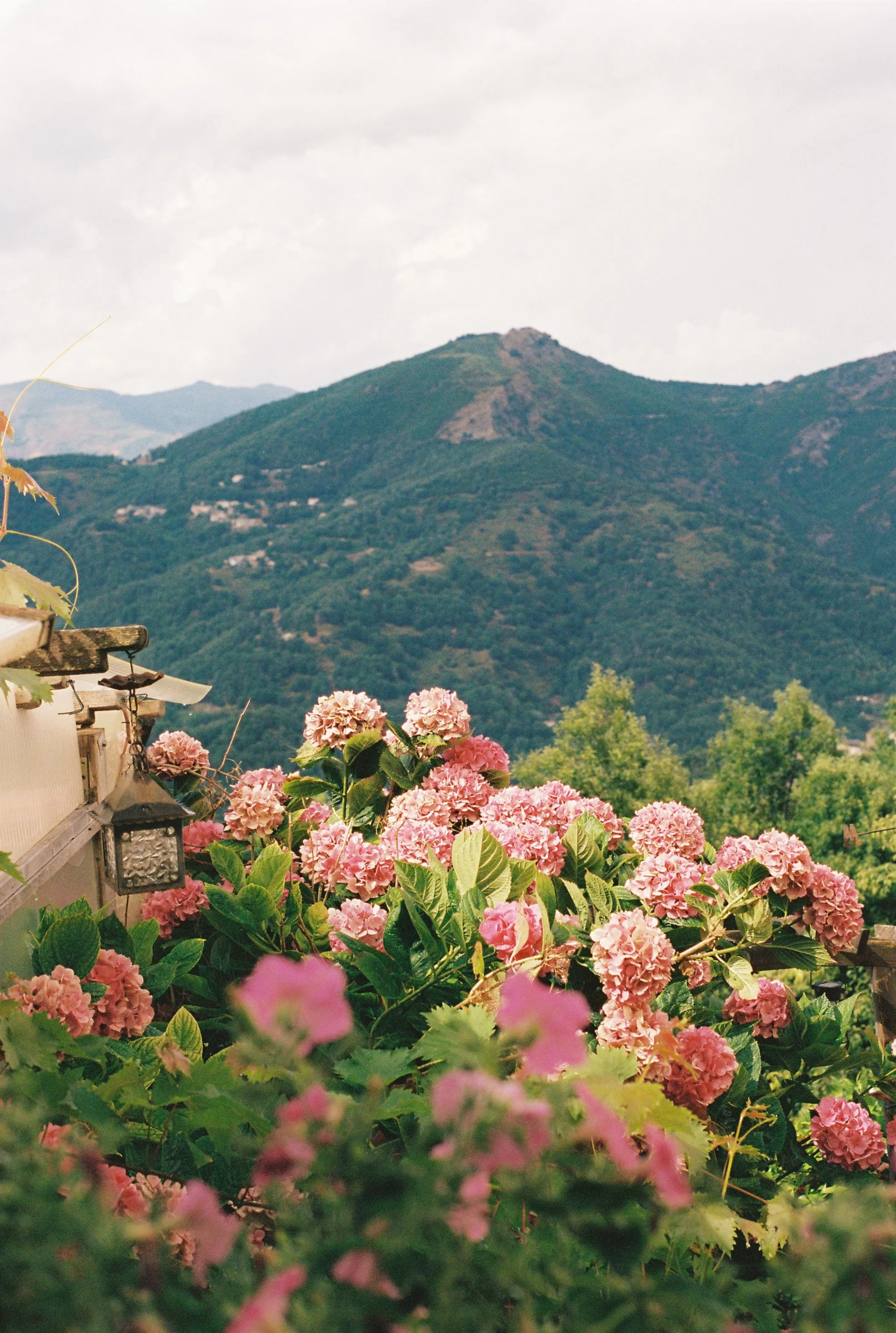 There's a strong chance this image contains the following subjects: landscape,  nature. Photographer_name: Natacha  Stra. Published: 2025-10-28 07:55:02