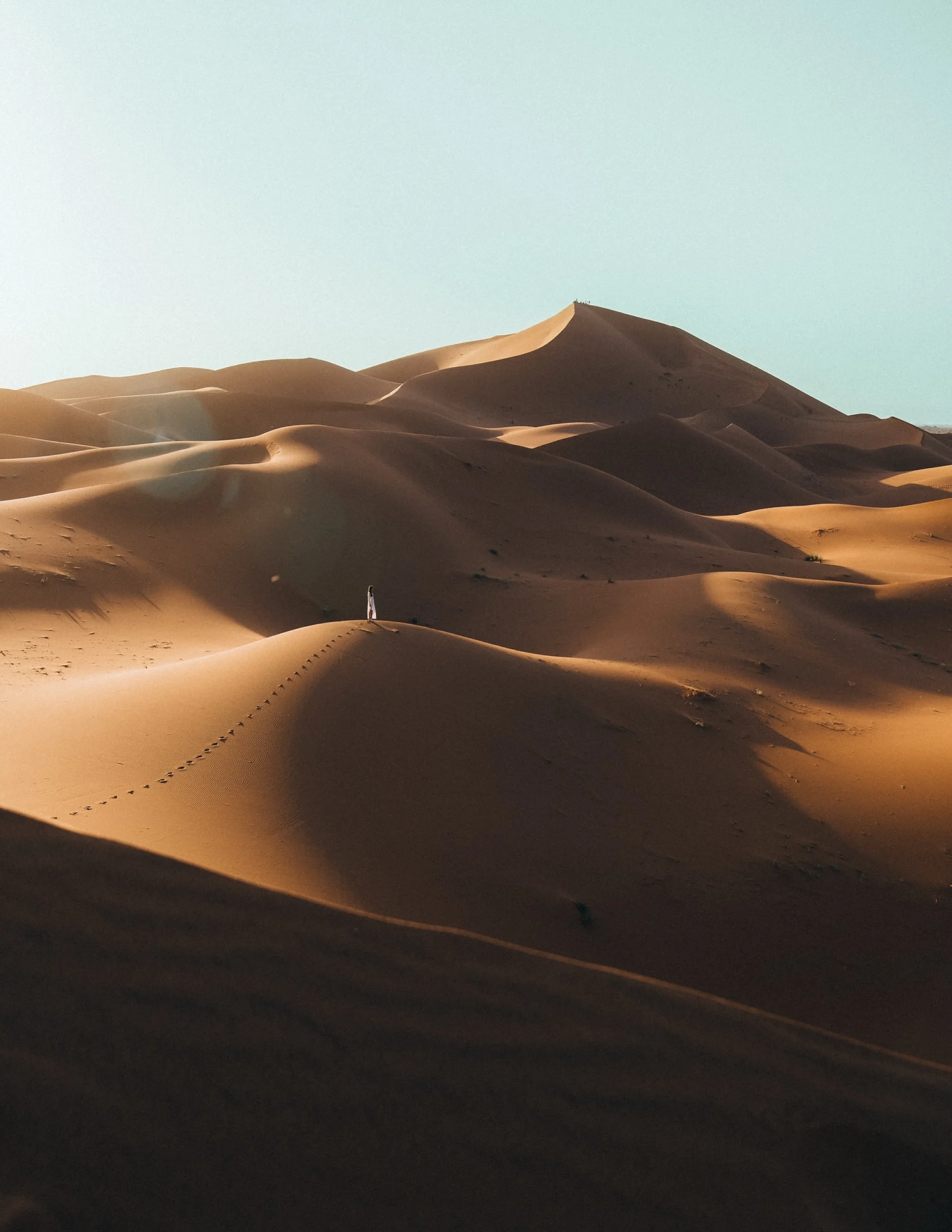 There's a strong chance this image contains the following subjects: desert. Source: https://www.instagram.com/maud_bsc/ Photographer_name: Maud Bosco. Title: Free as the wind. Make: sony. Published: 2025-10-12 11:47:37