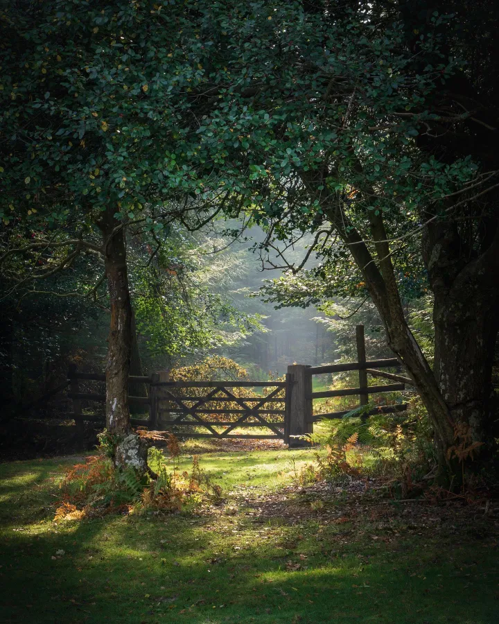 View FOTO's collection of mist photographs.