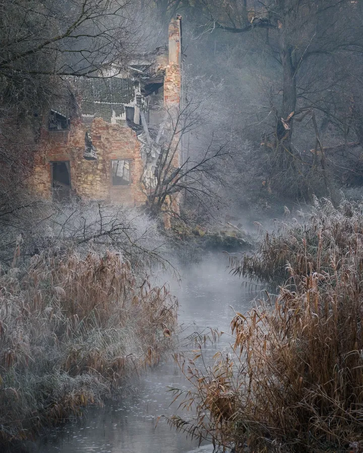 There's a strong chance this image contains the following subjects: tree,  architecture,  water,  landscape. The photographer has provided the following description: These ruins used to be my playground FOTO has this to say about the photograph: The weathered ruins, set against a wild and unruly landscape, create a captivating photograph filled with quiet melancholy and a subtly haunting beauty. The moody yet gentle light invites contemplation, capturing the delicate balance between decay and nature’s reclaiming embrace. Source: https://www.instagram.com/ariel_a_k/ Photographer_name: Ariel Kozak. Title: Lublin Voivodeship. The photographer has provided the following description: These ruins used to be my playground FOTO has this to say about the photograph: The weathered ruins, set against a wild and unruly landscape, create a captivating photograph filled with quiet melancholy and a subtly haunting beauty. The moody yet gentle light invites contemplation, capturing the delicate balance between decay and nature’s reclaiming embrace. Published: 2025-06-23 12:54:33