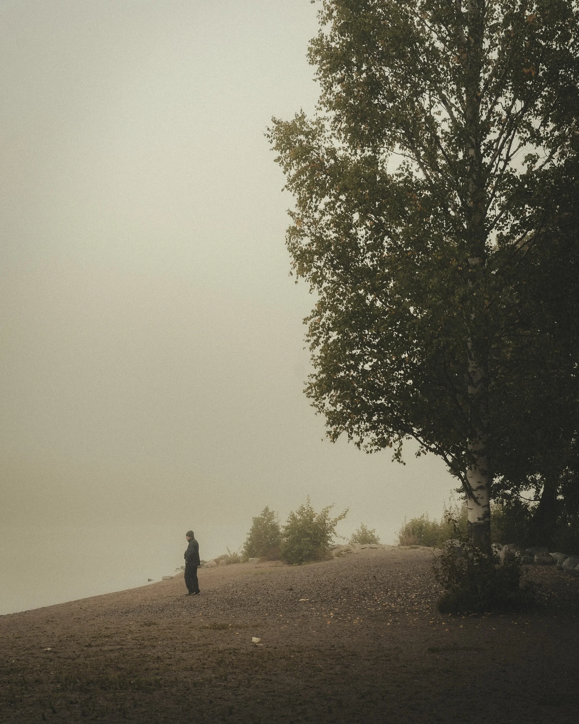 There's a strong chance this image contains the following subjects: fog. Source: https://www.instagram.com/pekkavalitalo/ Photographer_name: Pekka Välitalo. Title: This place is nothing without you. Make: sony. Model: a7 IV. Published: 2025-10-12 15:48:02